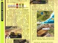 攻略各种爹爹？攻略各种爹爹免费阅读全文