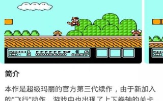 玛丽机攻略？玛丽利基激活条件