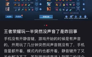 王者荣耀语音打字教程？王者荣耀语音打字教程图片