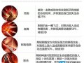 王者荣耀荆轲连招教学（王者荣耀荆轲怎么连招）