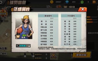 街头篮球汤姆技能？街头篮球汤汤？