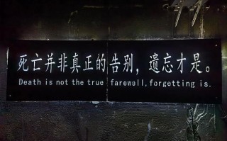 电盾技能，电盾和大盾