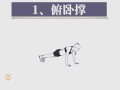 波比e技能，波比e技能冷却时间表