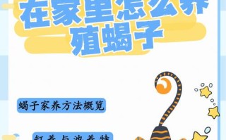 蝎子技能介绍，蝎子怎么玩,出装和打法