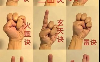 36技能，36技能法宠图片
