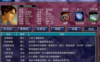 赵云的护主技能？赵云护石？