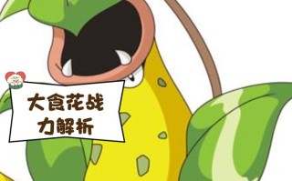 大食花技能，大食花配招游民星空