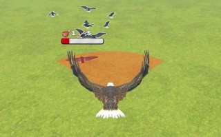 猎鹰模拟攻略，猎鹰模拟器3d无限金币