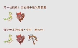 口袋妖怪黑回忆技能？口袋妖怪黑回想少女在哪个城市？