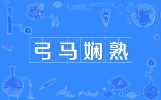 娴熟技能的意思 - 娴熟技能的意思和造句