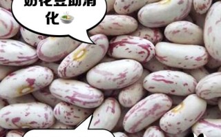 95奶花技能？90奶花cw？