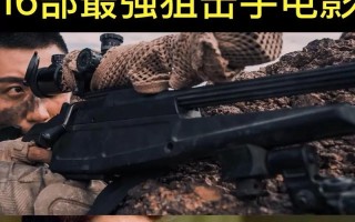 有技能的枪战？枪类技能？