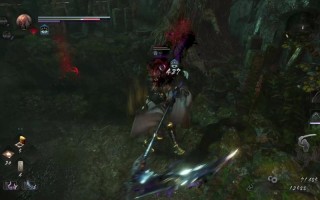 仁王视频攻略（仁王 全流程）
