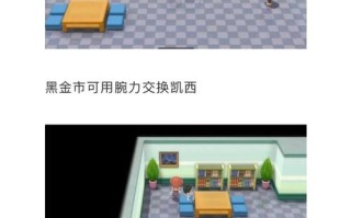 波尼马攻略，波尼马是谁