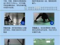 表面4攻略？表面是啥？