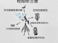 关于反坦克炮技能的信息