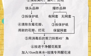 三大基本技能？三大基本技能之一？