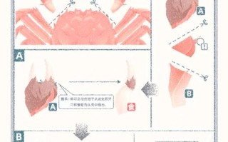 大钳蟹技能，大钳蟹技能大全