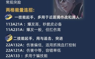 王者荣耀翟教程？王者翟玩法？