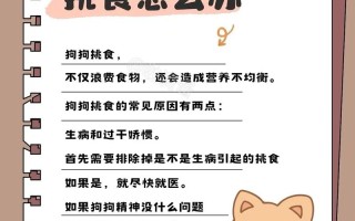 断绝狗攻略？断绝游戏攻略？