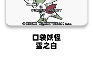 口袋妖怪雪之白攻略，口袋妖怪雪之白攻略60ex怎么赚钱