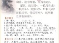 狼鹰技能，狼 鹰视
