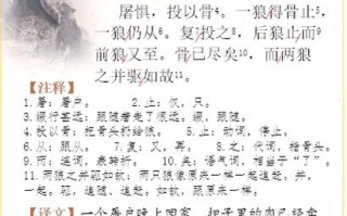 狼鹰技能，狼 鹰视