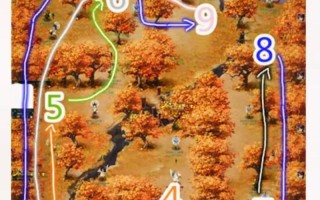 鬼枫林攻略？梦幻西游鬼枫林怎么走