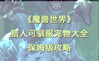 巨魔猎人攻略，巨魔猎人技能摆放位置