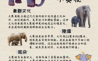 大象技能 - 大象技能科技