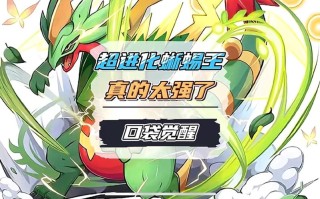 针叶王技能？针叶王技能表