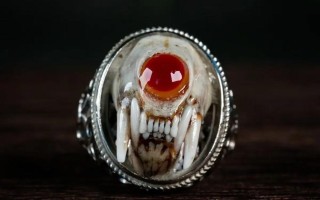 银魔戒指攻略，银魔戒指新手攻略带图
