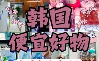 韩国攻略大全，韩国攻略演员表