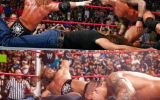 wwe技能大全？wwe技能名称