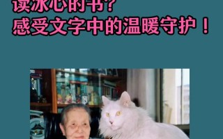 冰心封内技能？冰心pve手法