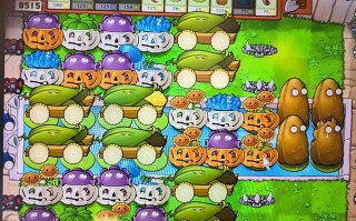 植物大战僵尸攻略大全，植物大战僵尸攻略大全2