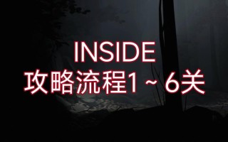 inside攻略视频，inside攻略图全部