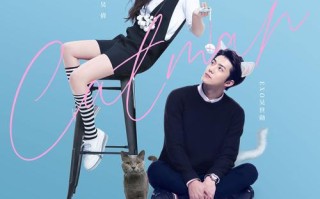 小宛猫技能？史诗小宛？