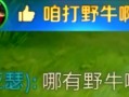 瞎子w技能，瞎子输出手法