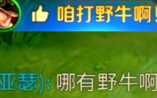 瞎子w技能，瞎子输出手法