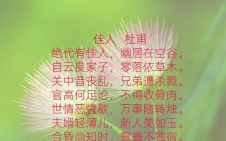 合欢技能诗？合欢技能加点图