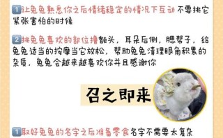 长耳兔的技能，长耳兔特性哪个好