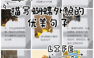 蝴蝶的技能，蝴蝶技能最低要求