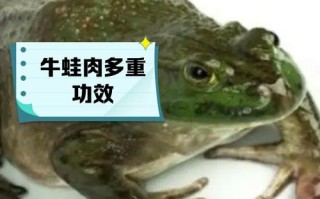 牛蛙技能？牛蛙克星？