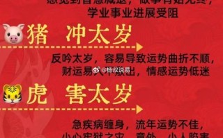 连长生攻略？连长生书法？