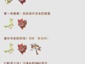 漆黑的魅影技能机器表，漆黑的魅影技能机器表分布