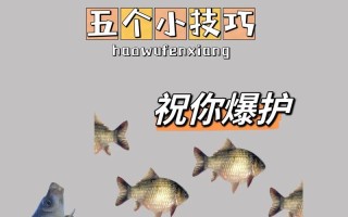 钓鲫鱼攻略，钓鲫鱼妙招