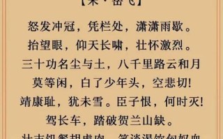 精忠岳飞技能？精忠岳飞角色介绍