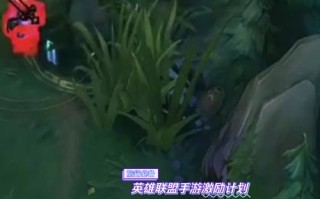 瞎子r技能？瞎子q技能cd