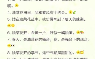 梦想小镇钓鱼攻略？梦想小镇任务